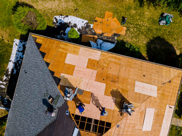 Best Roof Maintenance Services  in Cashton, WI