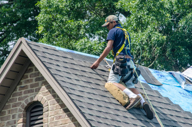 Best Best Roofing Contractors  in Cashton, WI
